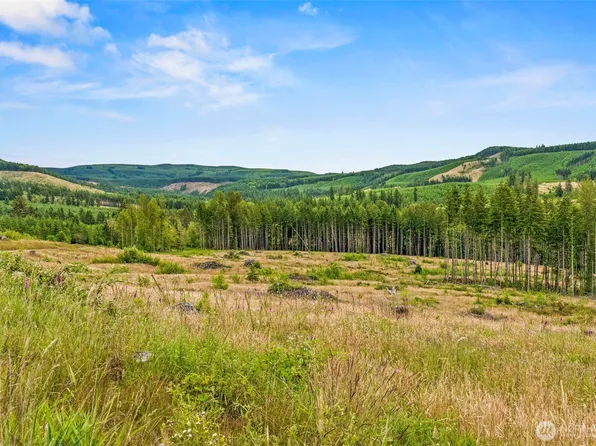 3 Lot 3 Parker Road, Toutle, WA 98649