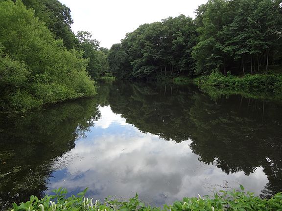 property borders this pond
