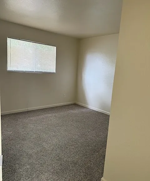 1221 E Fremont St #8 — Photo 8