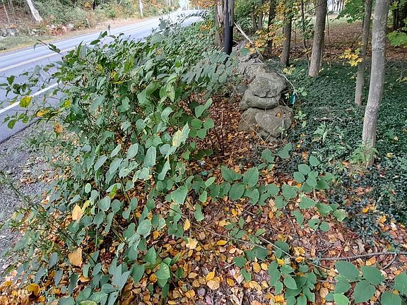 5th image of 248 Old Turnpike Road