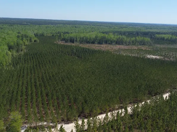 2919 Porter Rd, Cassatt, SC 29032