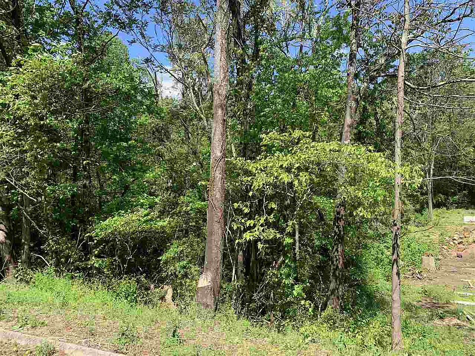 2nd image of Lots Daniels Dr