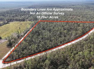 Vacant Southeast Riv, Lee, FL 32059