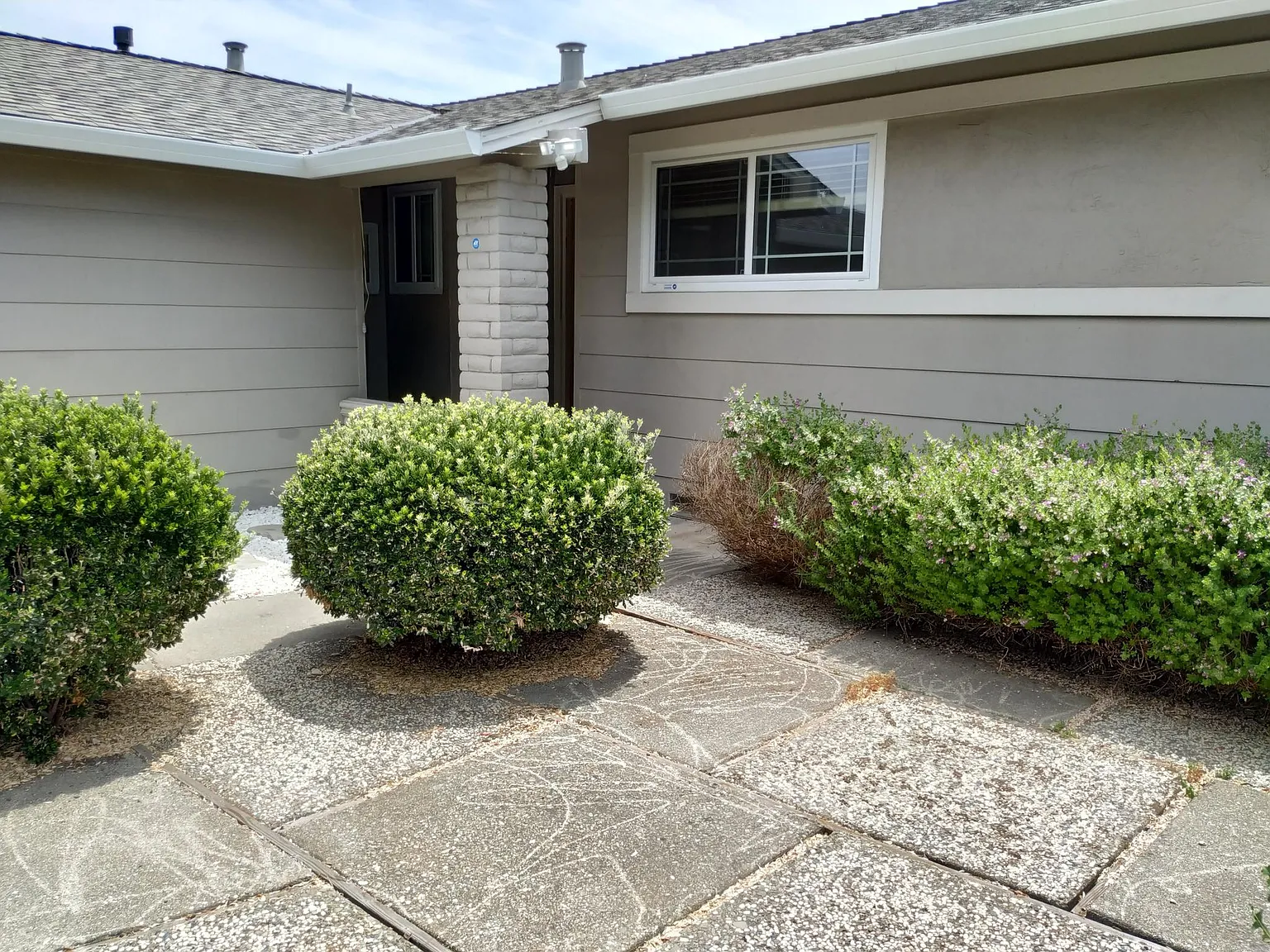 3 bed, 1372 sqft, $4,000 — Photo 4