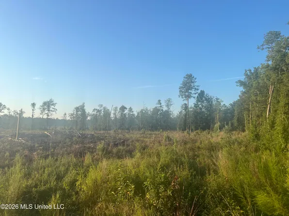 Vernal River Rd, Lucedale, MS 39452