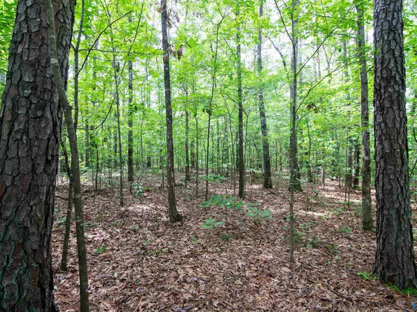 1.6 Norris Mill Rd SW, Hartselle, AL 35640