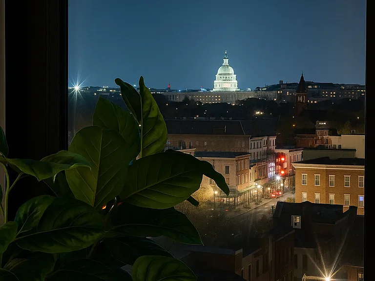 Window View