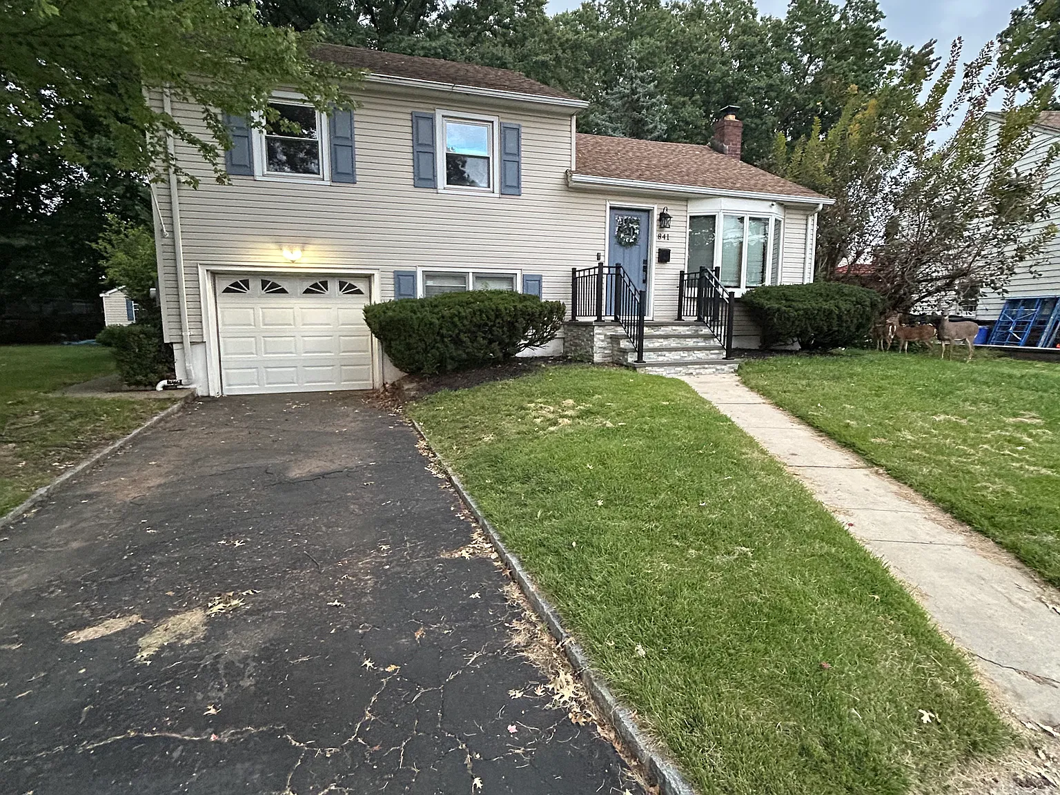 3 bed, 1.5 bath, $3,800 — Photo 2