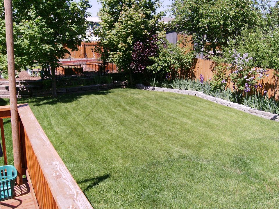 Back yard and Garden