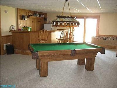 Walk-Out Lower Level with Two Storage Areas