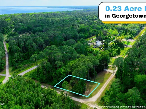 TBD CORNER LOT 1 BIRCH Boulevard, Georgetown, FL 32139