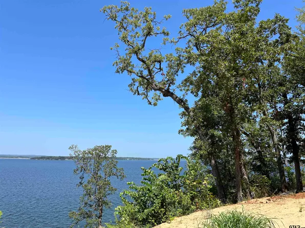 167 N Lake Bluff Dr, Bullard, TX 75757