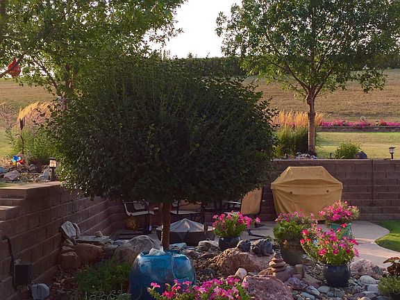 side patio  (south west side