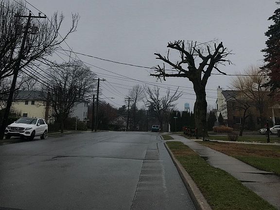 5th image of 40 Elm Ave