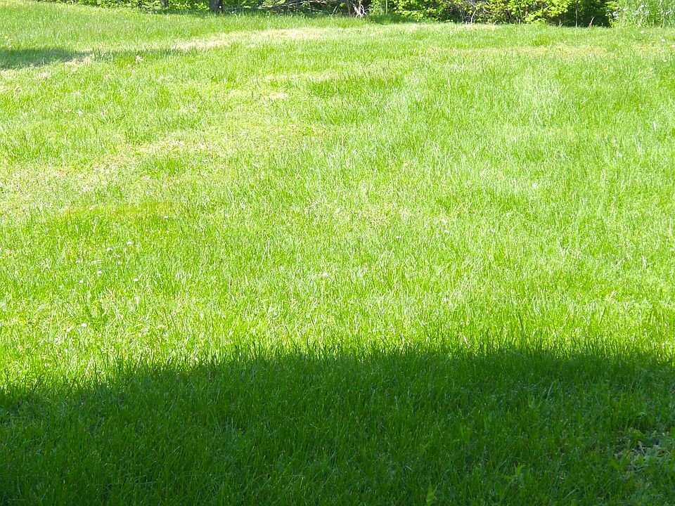 2nd image of 352 Adcock Cemetery Rd