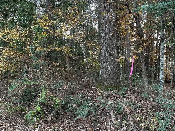 Gary Ct, Livingston, TX 77351