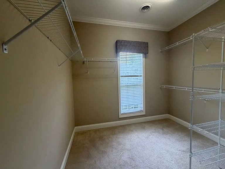4601 Ivy Rose Dr — Photo 11
