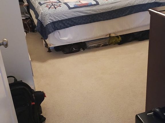 5th image of 830 W Leland Ave APT 301