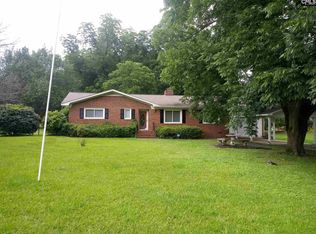 210 E Boundary St, Chapin, SC 29036