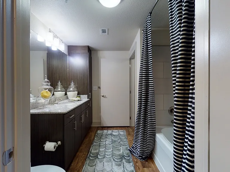 Lofts at Watters Creek Apartments — Photo 10
