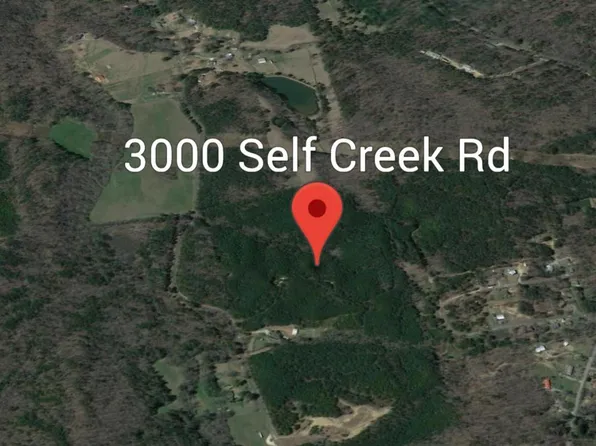 3000 Self Creek Rd Lot 1, Warrior, AL 35180