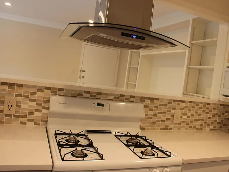 1133 N Randolph St #303 — Photo 10