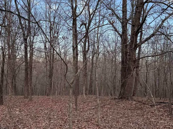 County Road 470, Rector, AR 72461