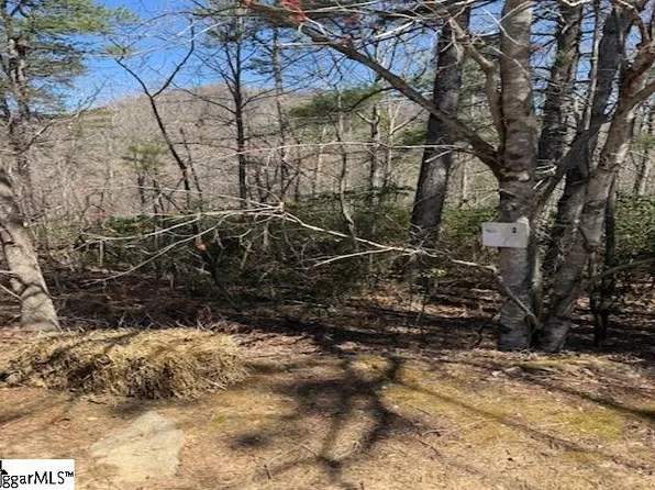 25 Lake Hills Ln, Travelers Rest, SC 29690