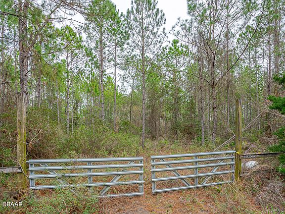 5th image of 300 Volusian Forest Trl