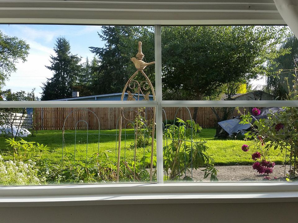 Looking out the front window. Lots of great light.