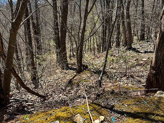 5th image of Mountain Lake Rd