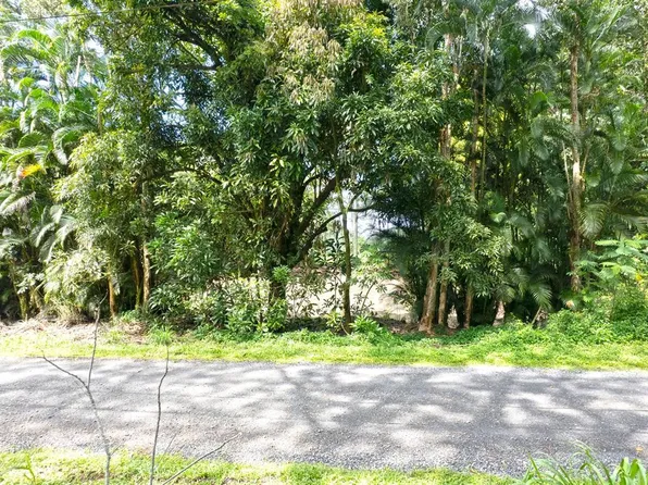11th Ave, Keaau, HI 96749