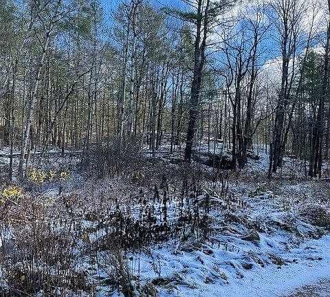 2nd image of 0 Green Place Rd