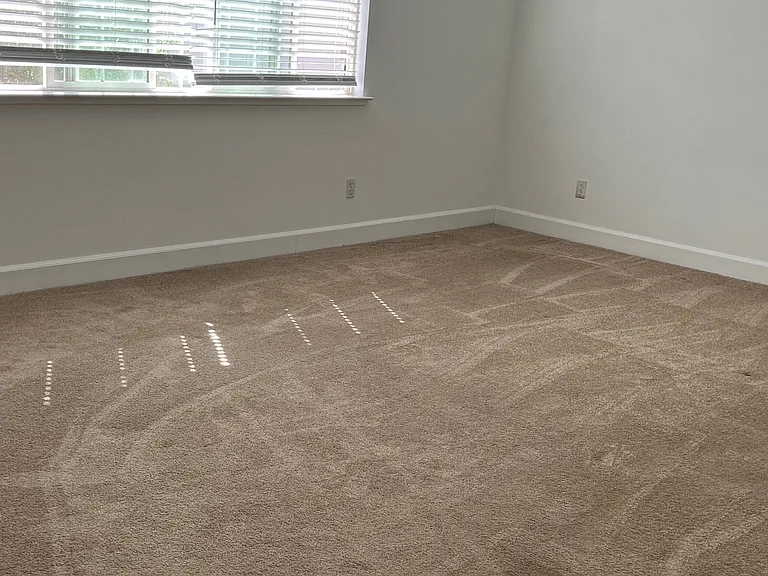 5213 Star Thistle Way — Photo 6