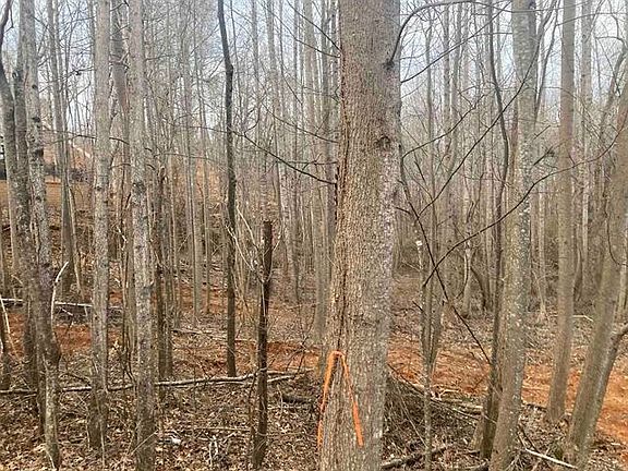 5th image of 159 Rockingham Rd