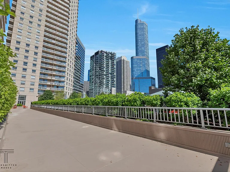 545 N Dearborn St #2503 — Photo 29