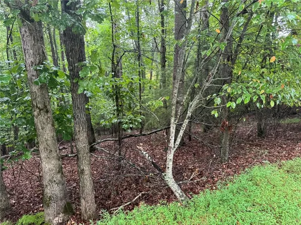 0 Enchanted Woods Dr Lot 7, Blairsville, GA 30512