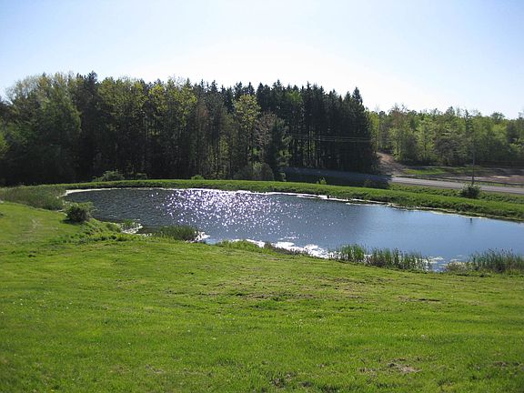 Sunny summer day or ice skating in winter