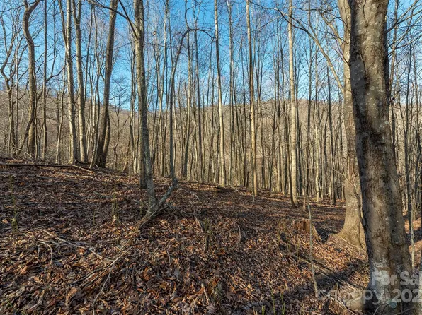 885 Stoney Stream Ln, Arden, NC 28704