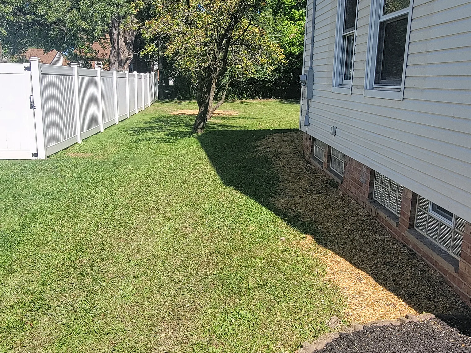 3 bed, 1.5 bath, 1300 sqft, $1,600 — Photo 4