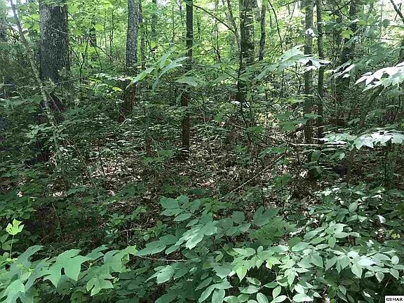 4th image of 99 Ginseng Way Lot 99