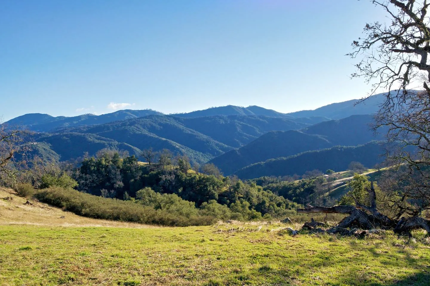24 Long Ridge Trl photo 1