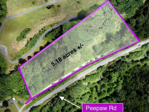 0 Peepaw Rd, Roaring Branch, PA 17765