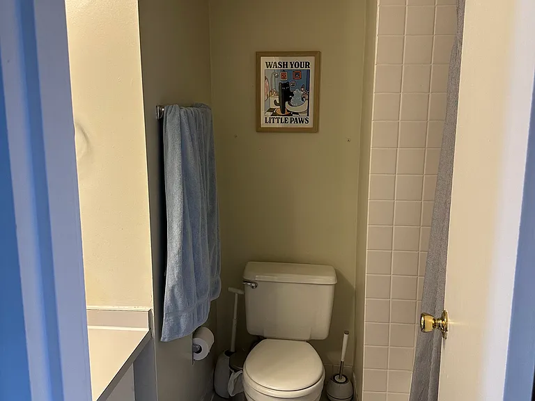 1804 Green St #303 — Photo 13