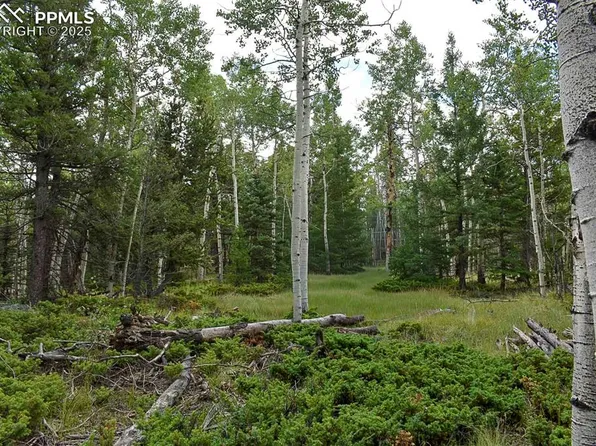 205 Timberline Dr, Lake George, CO 80820