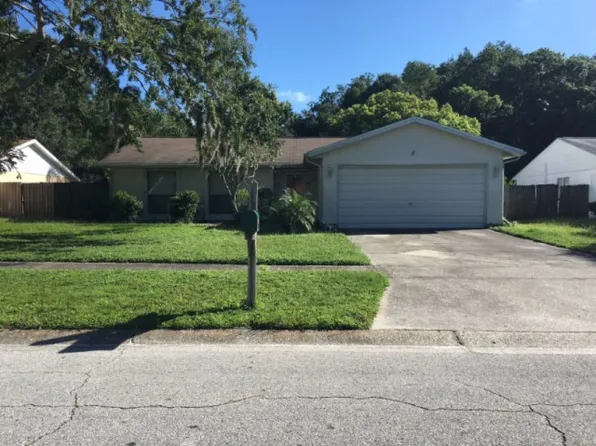5308 Black Pine Dr, Tampa, FL 33624