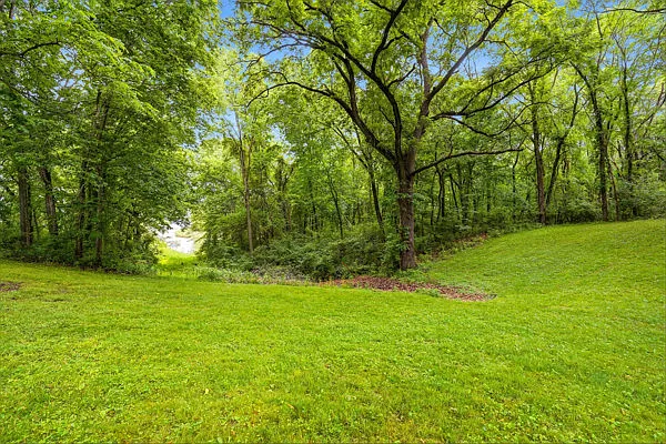 3867 Locust Ridge Rd NE — Photo 25