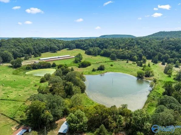 447 Forman Bottoms Rd, Somerville, AL 35670