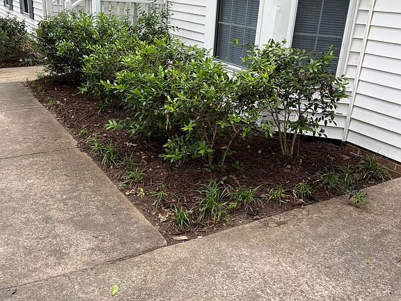 Dining window and front door