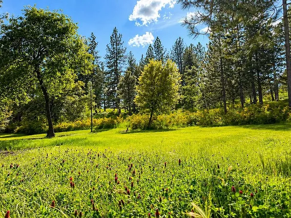 24275 Grand View Ave, Colfax, CA 95713